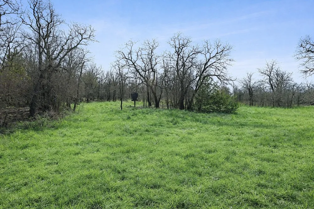 Cr-1990 Chico, TX 76431