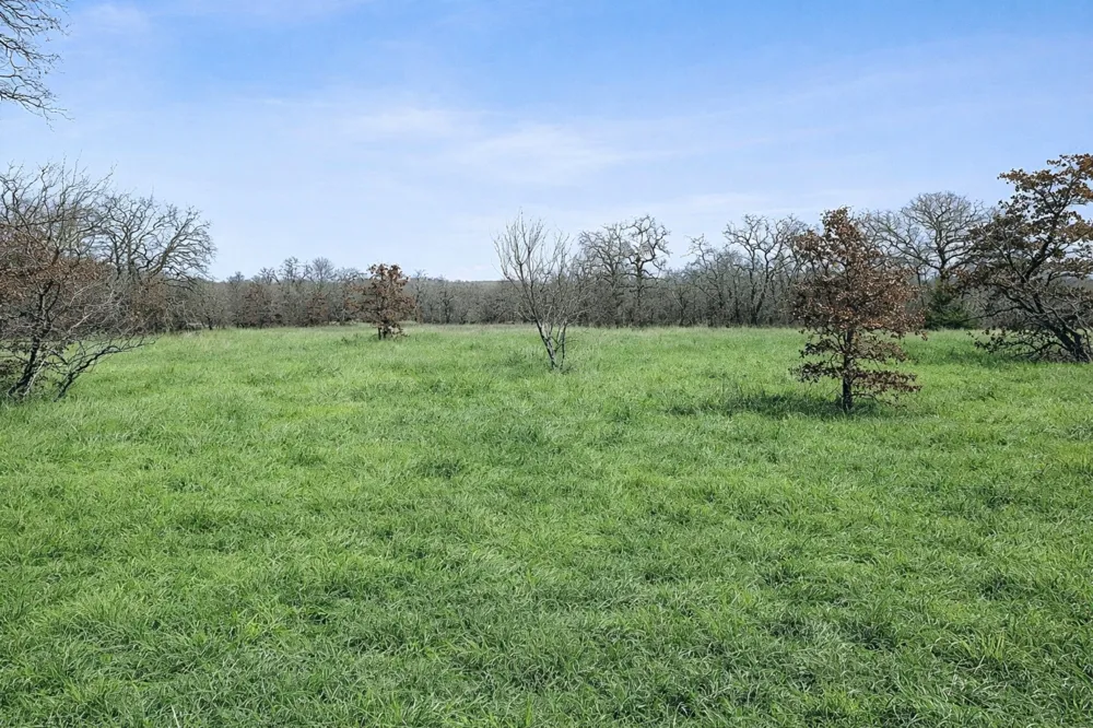 Cr-1990 Chico, TX 76431