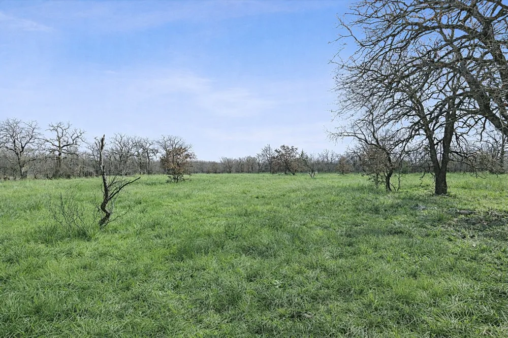 Cr-1990 Chico, TX 76431