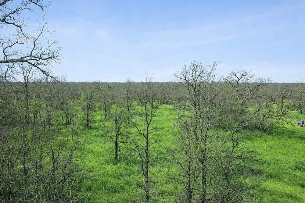 Cr-1990 Chico, TX 76431