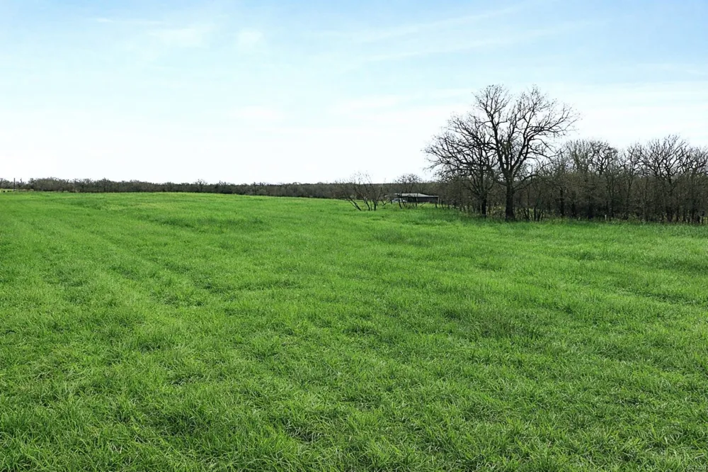 Cr-1990 Chico, TX 76431