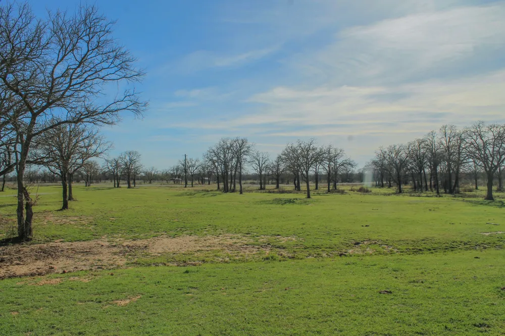 1070 Paradise Oak Graford, TX 76449