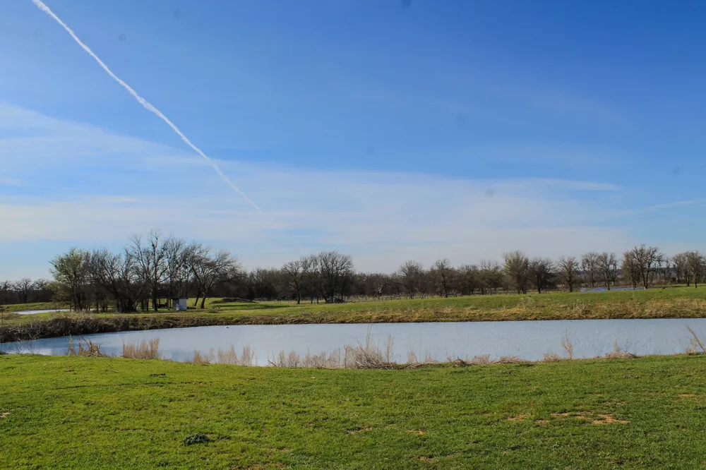 1070 Paradise Oak Graford, TX 76449