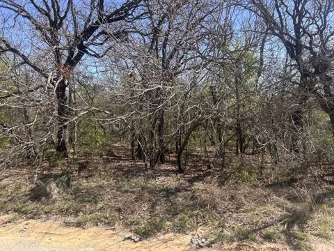 Palmetto Court #2