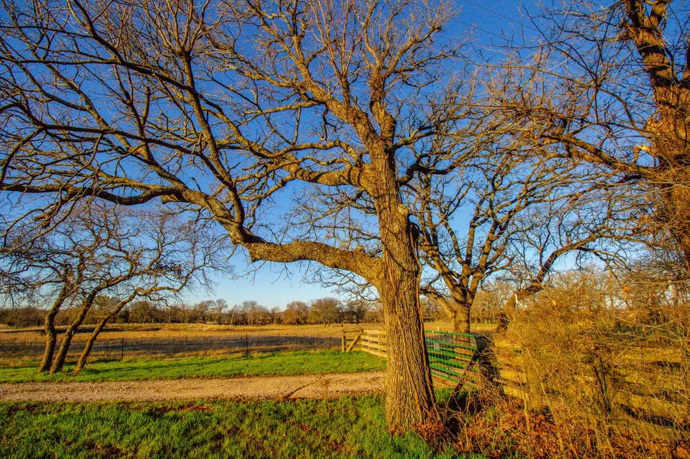 1300 Rodgers Road Sunset, TX 76270