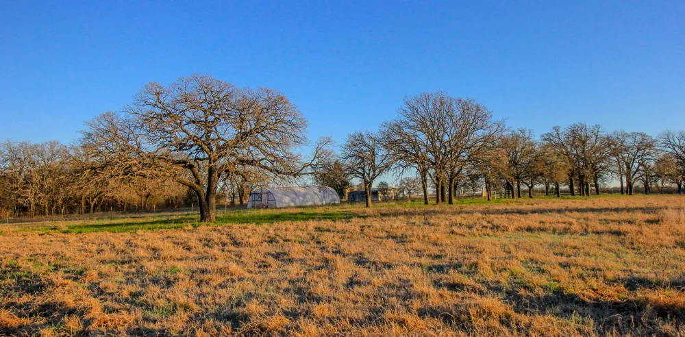 1300 Rodgers Road Sunset, TX 76270
