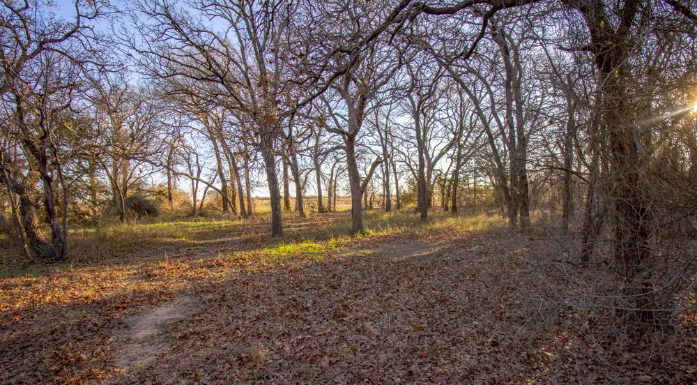 1300 Rodgers Road Sunset, TX 76270