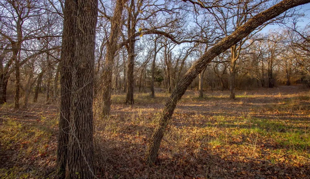 1300 Rodgers Road Sunset, TX 76270