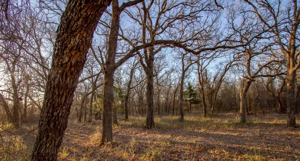 1300 Rodgers Road Sunset, TX 76270