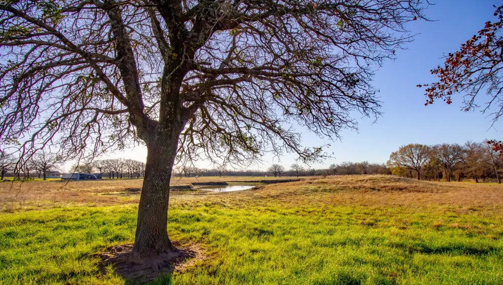 1300 Rodgers Road Sunset, TX 76270