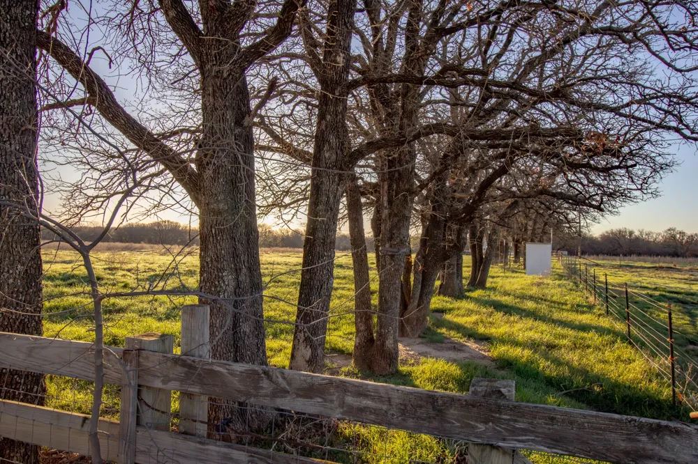 1300 Rodgers Road Sunset, TX 76270