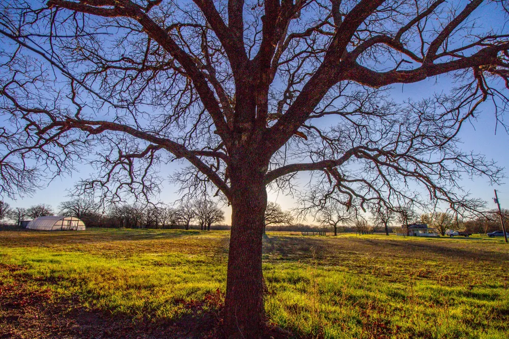 1300 Rodgers Road Sunset, TX 76270