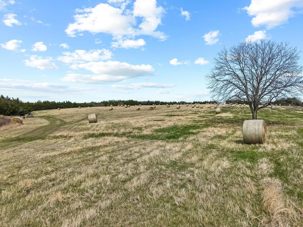 Crews Road Bells, TX 75414