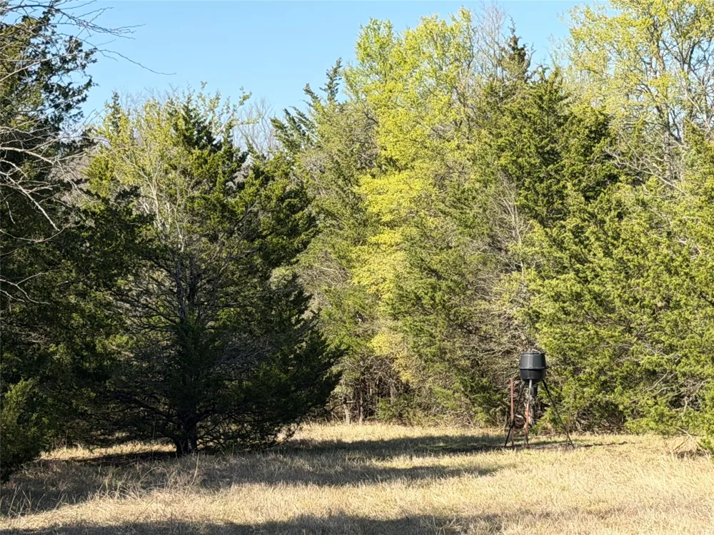 Crews Road Bells, TX 75414