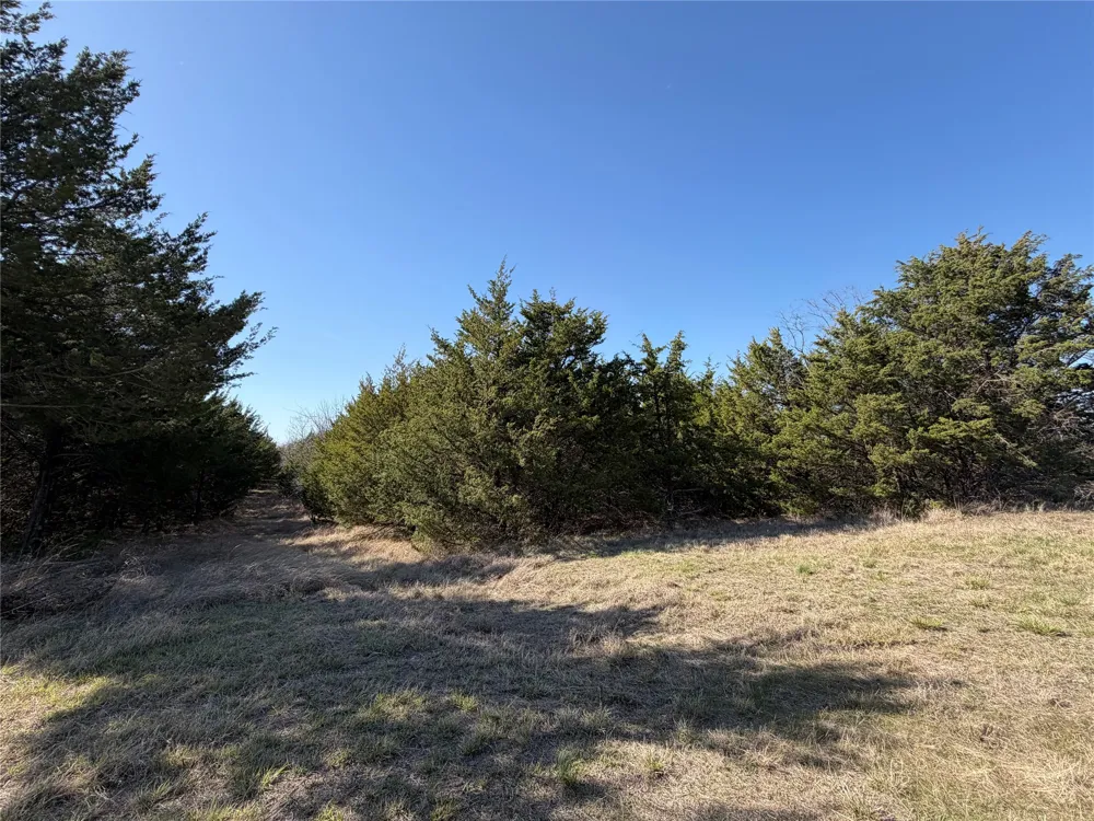 Crews Road Bells, TX 75414