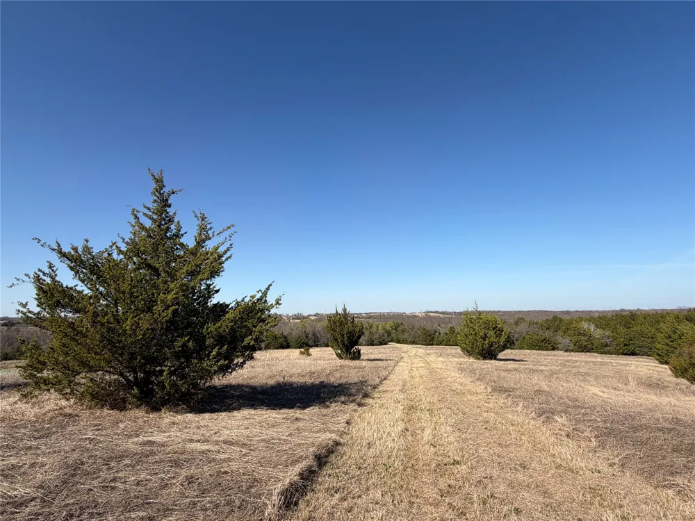 Crews Road Bells, TX 75414