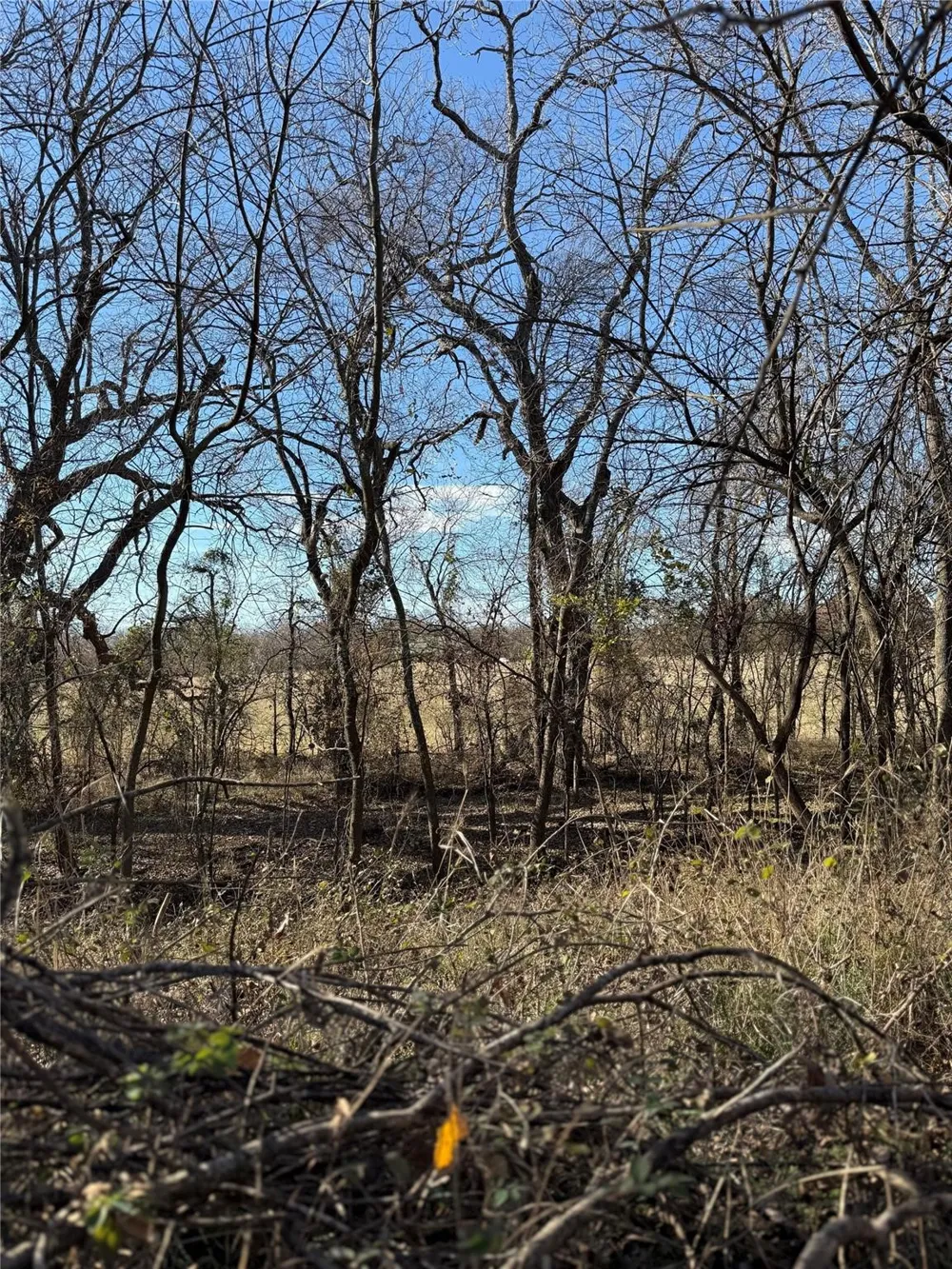 Hidden Valley Road Valley View, TX 76272