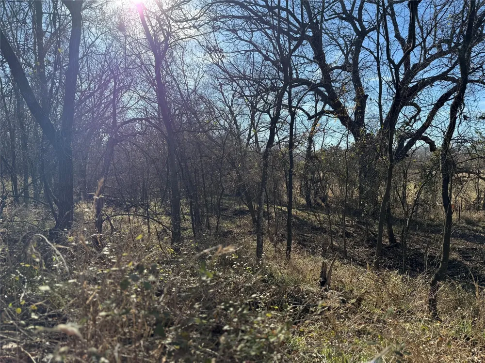 Hidden Valley Road Valley View, TX 76272