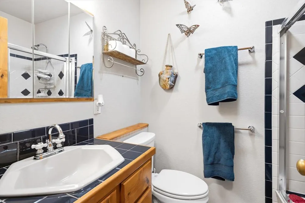 426 Deer Trail Lane Bayfield, CO 81122