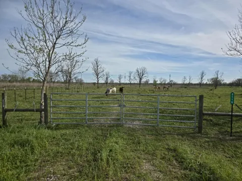2115 County Road 244