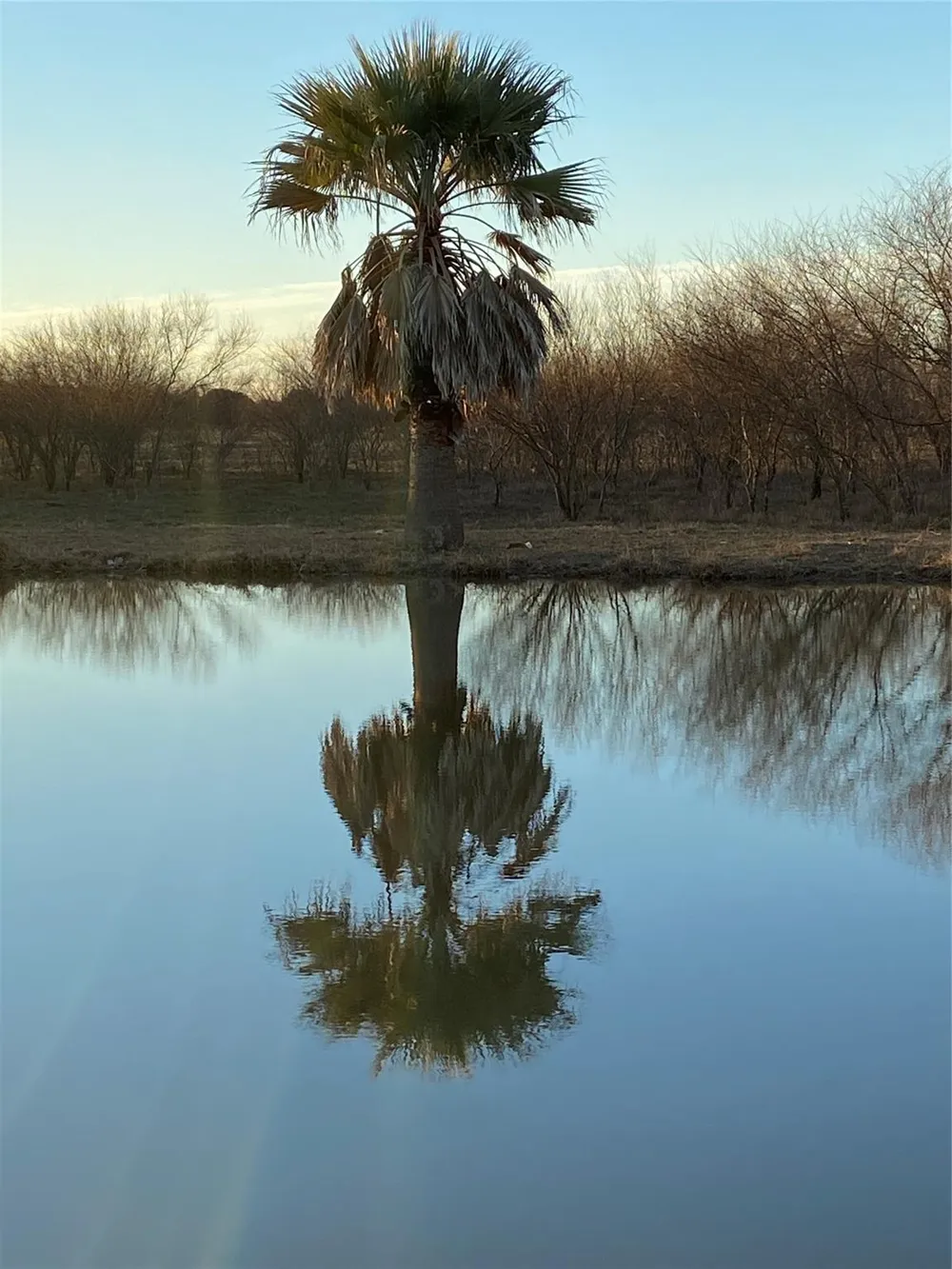 1385 Bego Road Goliad, TX 77963
