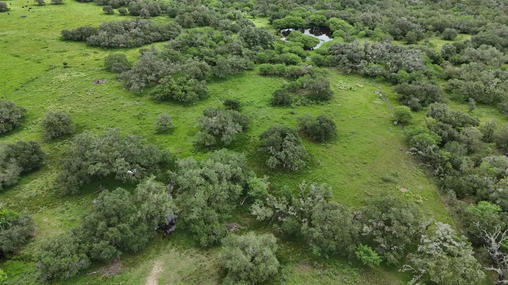 1385 Bego Road Goliad, TX 77963