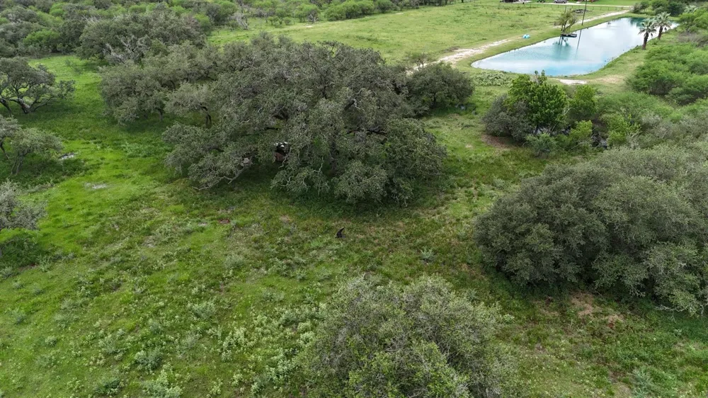 1385 Bego Road Goliad, TX 77963