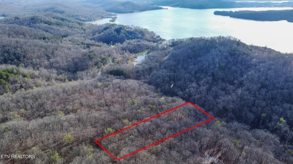Hidden Oaks Road Rockwood, TN 37854