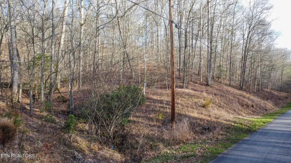 Hidden Oaks Road Rockwood, TN 37854