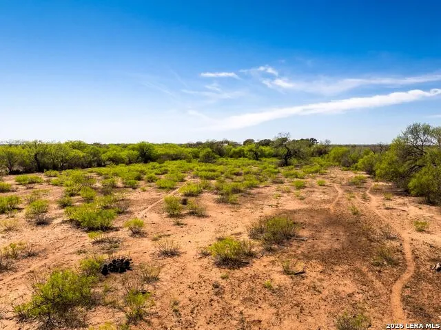 4246 Rakowitz Rd Adkins, TX 78101