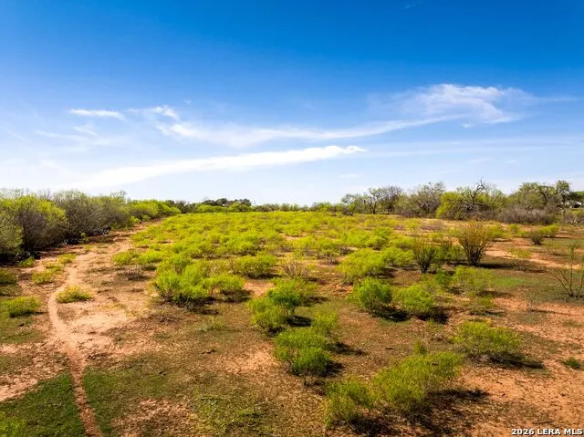 4246 Rakowitz Rd Adkins, TX 78101