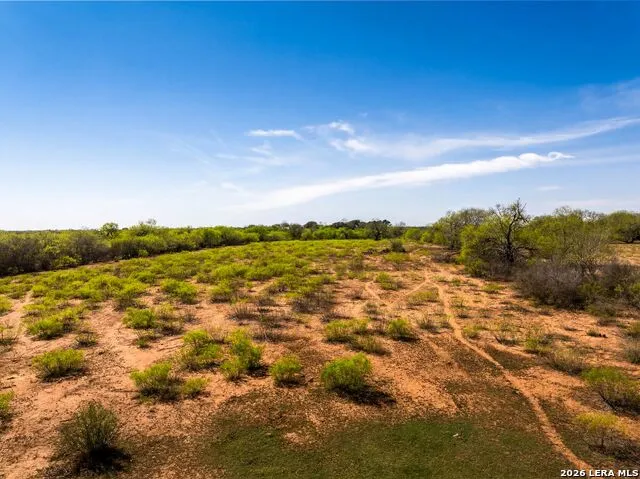 4246 Rakowitz Rd Adkins, TX 78101