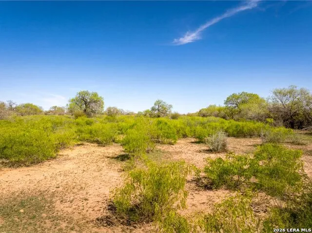 4246 Rakowitz Rd Adkins, TX 78101