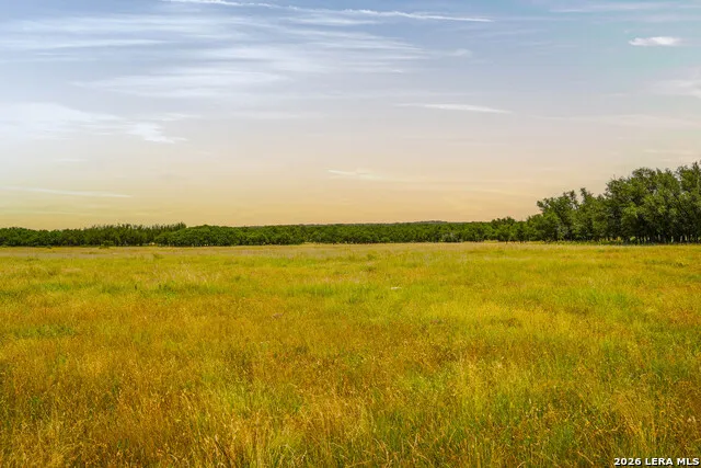 TBD Treadwell Ln Menard, TX 76859