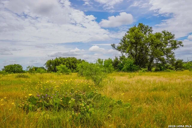TBD Treadwell Ln Menard, TX 76859