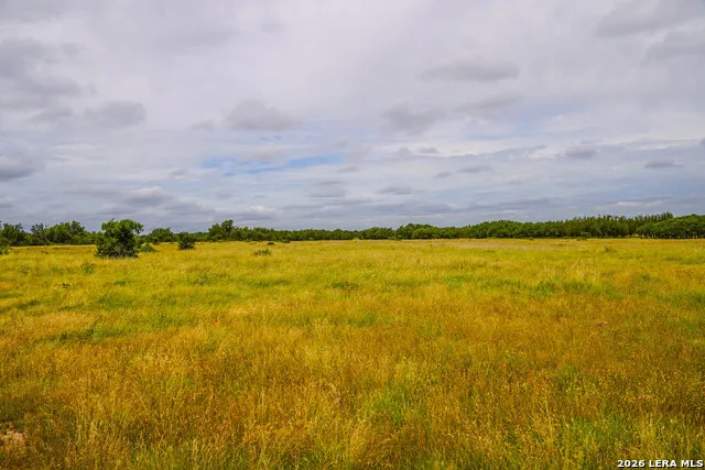 TBD Treadwell Ln Menard, TX 76859