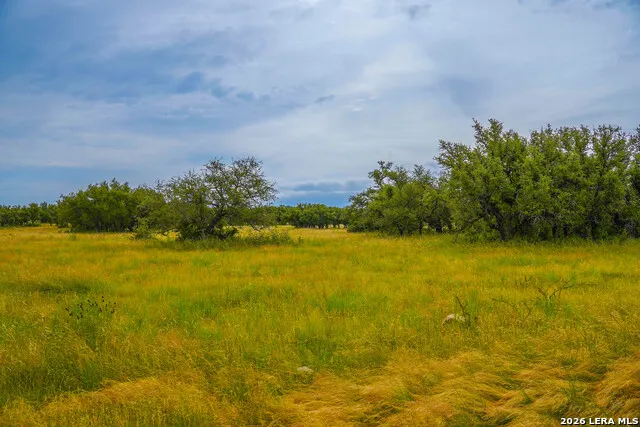 TBD Treadwell Ln Menard, TX 76859