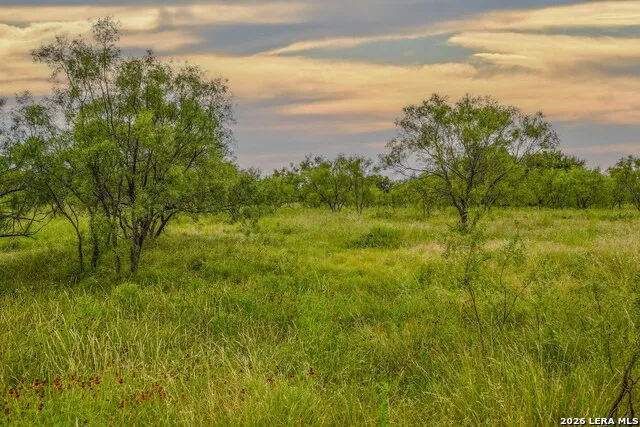 TBD Treadwell Ln Menard, TX 76859