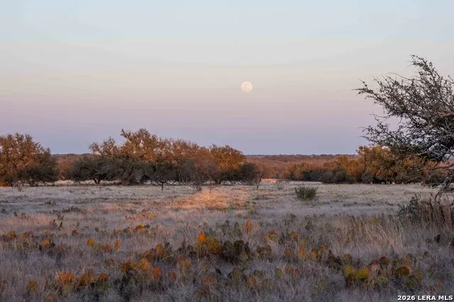 TBD Treadwell Ln Menard, TX 76859