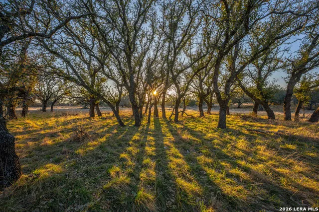 TBD Treadwell Ln Menard, TX 76859