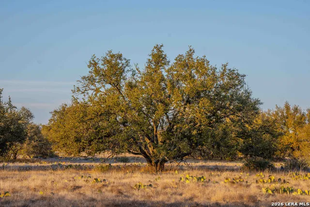 TBD Treadwell Ln Menard, TX 76859