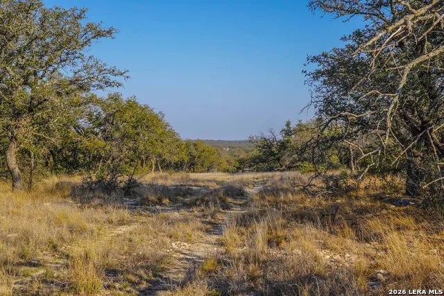 TBD Treadwell Ln Menard, TX 76859