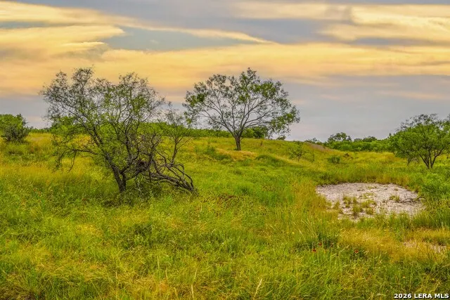 TBD Treadwell Ln Menard, TX 76859