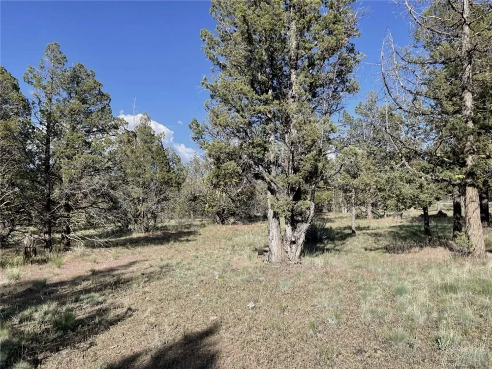 Hilltop Lane Alturas, CA 96101