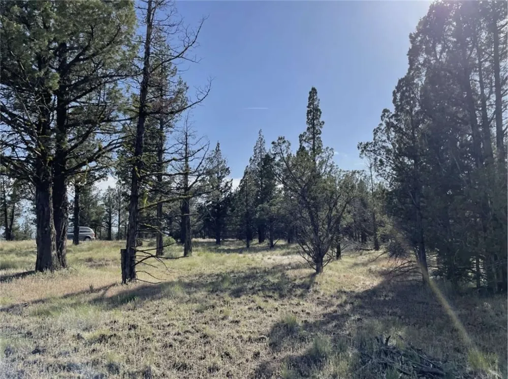 Hilltop Lane Alturas, CA 96101