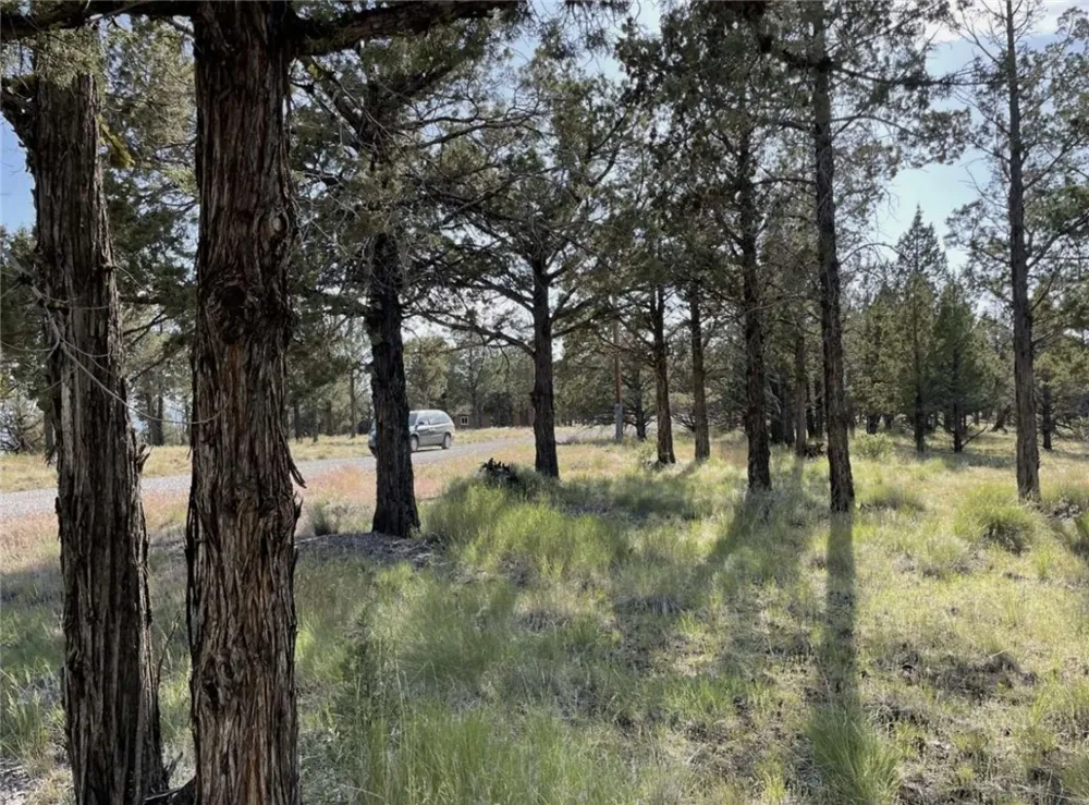 Hilltop Lane Alturas, CA 96101