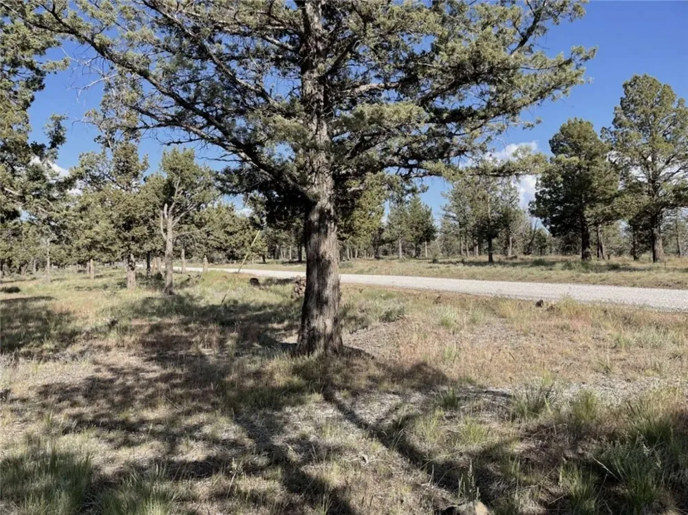 Hilltop Lane Alturas, CA 96101