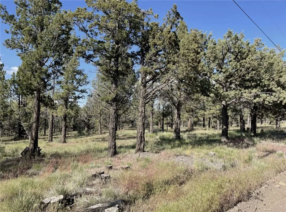 Hilltop Lane Alturas, CA 96101