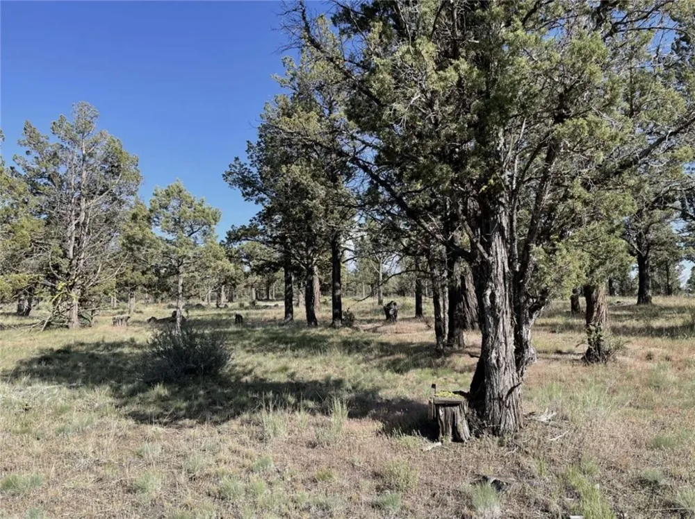 Hilltop Lane Alturas, CA 96101