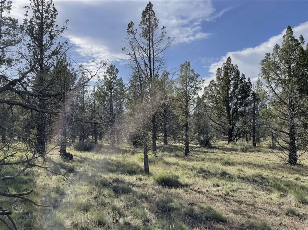 Hilltop Lane Alturas, CA 96101